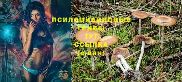 прущий лед Абдулино