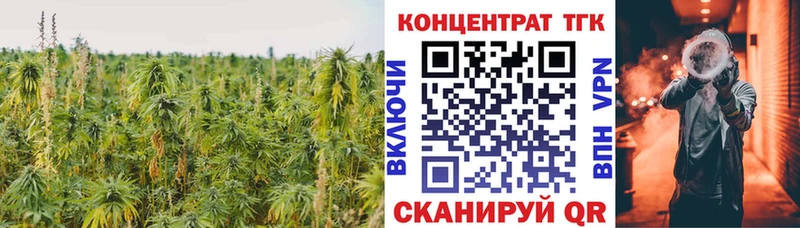 ТГК жижа omg ссылки Яблоновский
