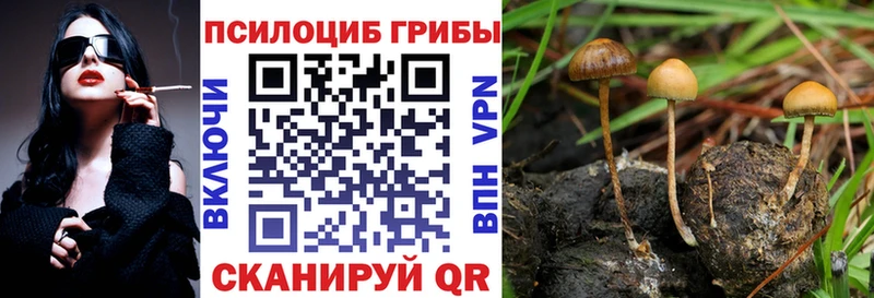 Псилоцибиновые грибы мухоморы  Яблоновский 
