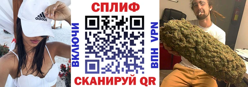 Каннабис планчик  Яблоновский 